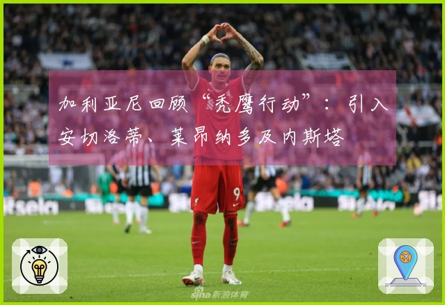 加利亚尼回顾“秃鹰行动”：引入安切洛蒂、莱昂纳多及内斯塔