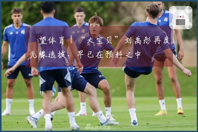 瞭望体育｜“大宝贝”刘禹彤再度无缘选拔，早已在预料之中